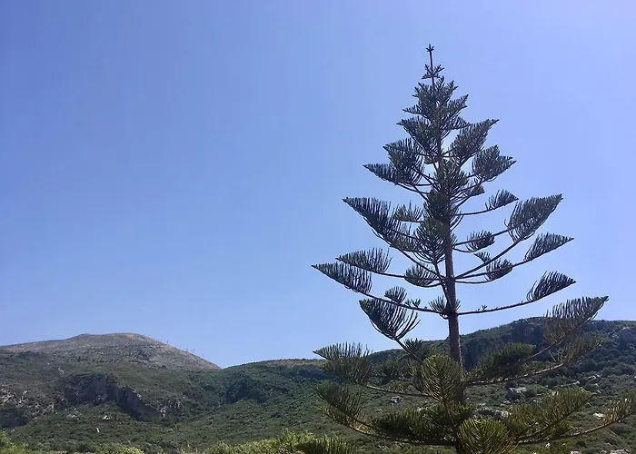 Alegria Kefalonia Kateliósz