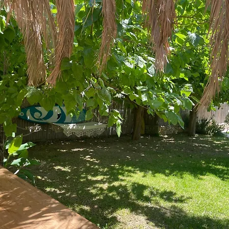 公寓 Alegria Kefalonia *