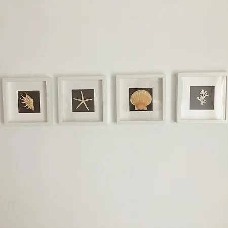 Alegria Kefalonia 公寓 凯特利奥斯