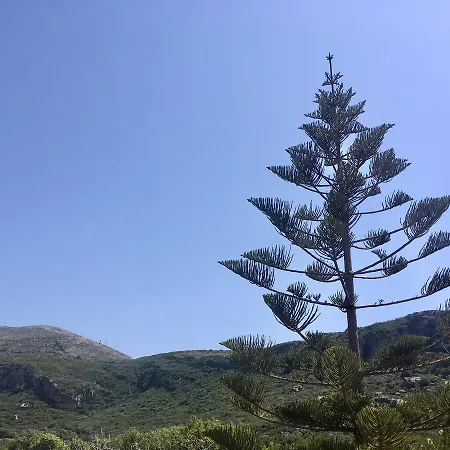 Alegria Kefalonia Kateliósz