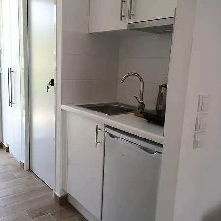 Alegria Kefalonia 公寓 凯特利奥斯